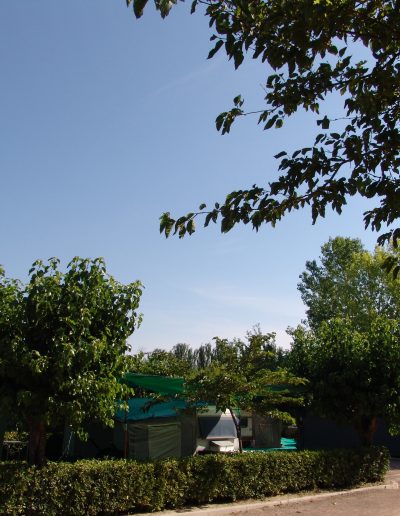 DSC01403s
